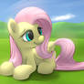 Fluttershy - FiM