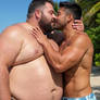 Feeder in Paradise (Preview)