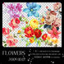 Flowers01_6P
