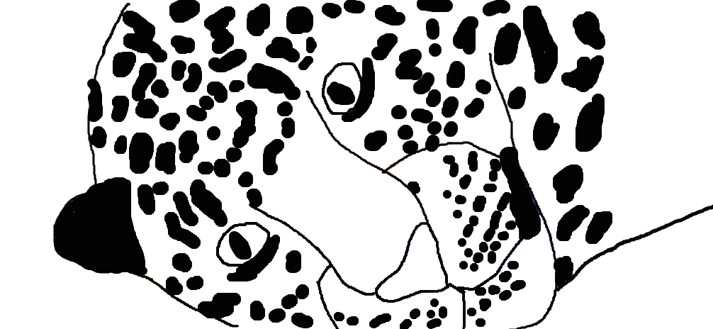 Free Leopard Lineart by kh71718 on DeviantArt