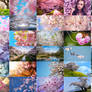 150 Sakura Flowers Full HD Wallpapers