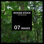Woods Stock Images