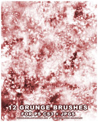 12 Grunge Brushes for PS CS3