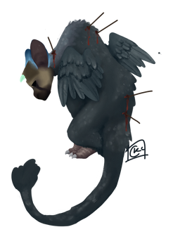 Trico