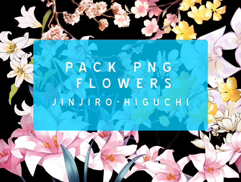 Pack PNG Flower