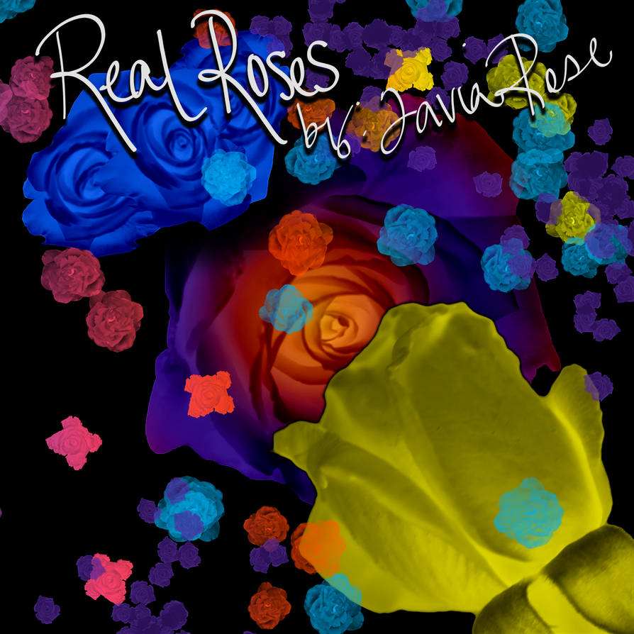 Real Rose Brushes by taviaserna on DeviantArt