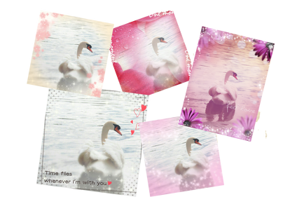 Swan - Pack (32 Pics)