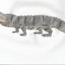 An Early Saltwater CROCODILE