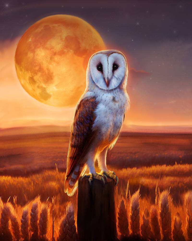 Barley Moon by HoloPhoenix on DeviantArt