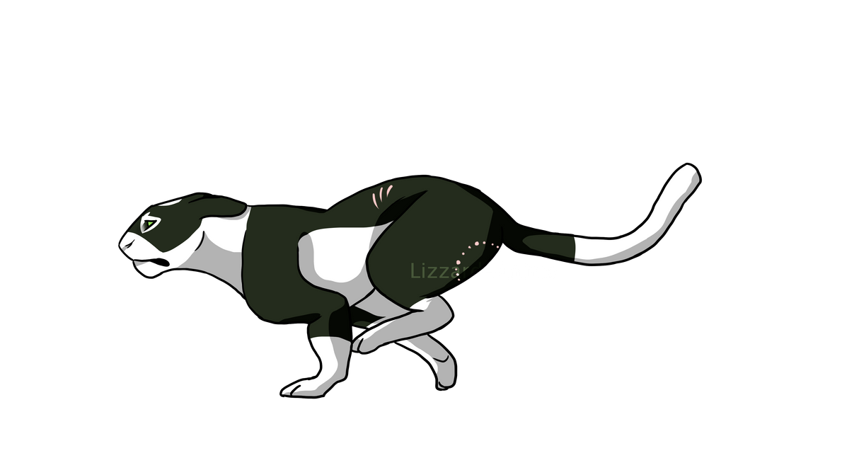 Cat running animation ych commission 3 by lizzarddraws on deviantart