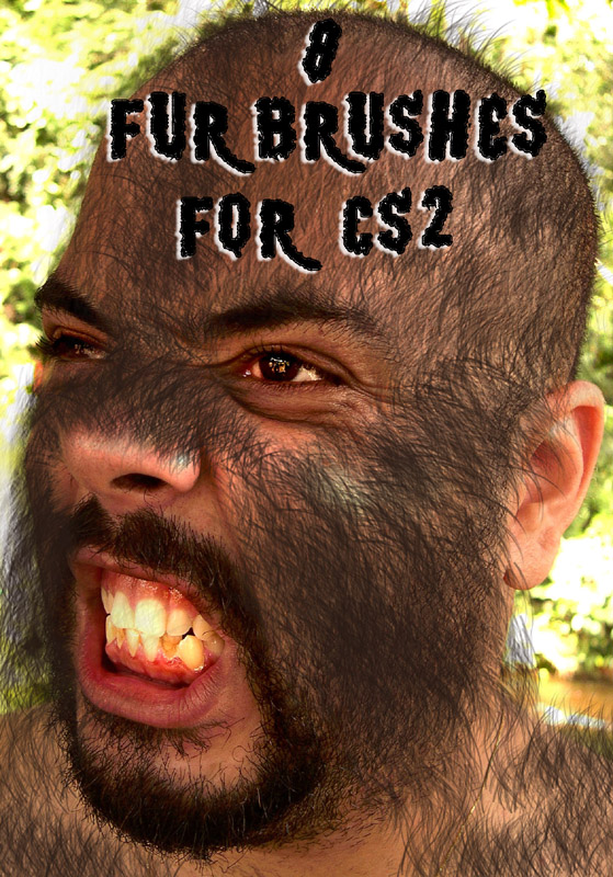 Krissi's Fur Brushes
