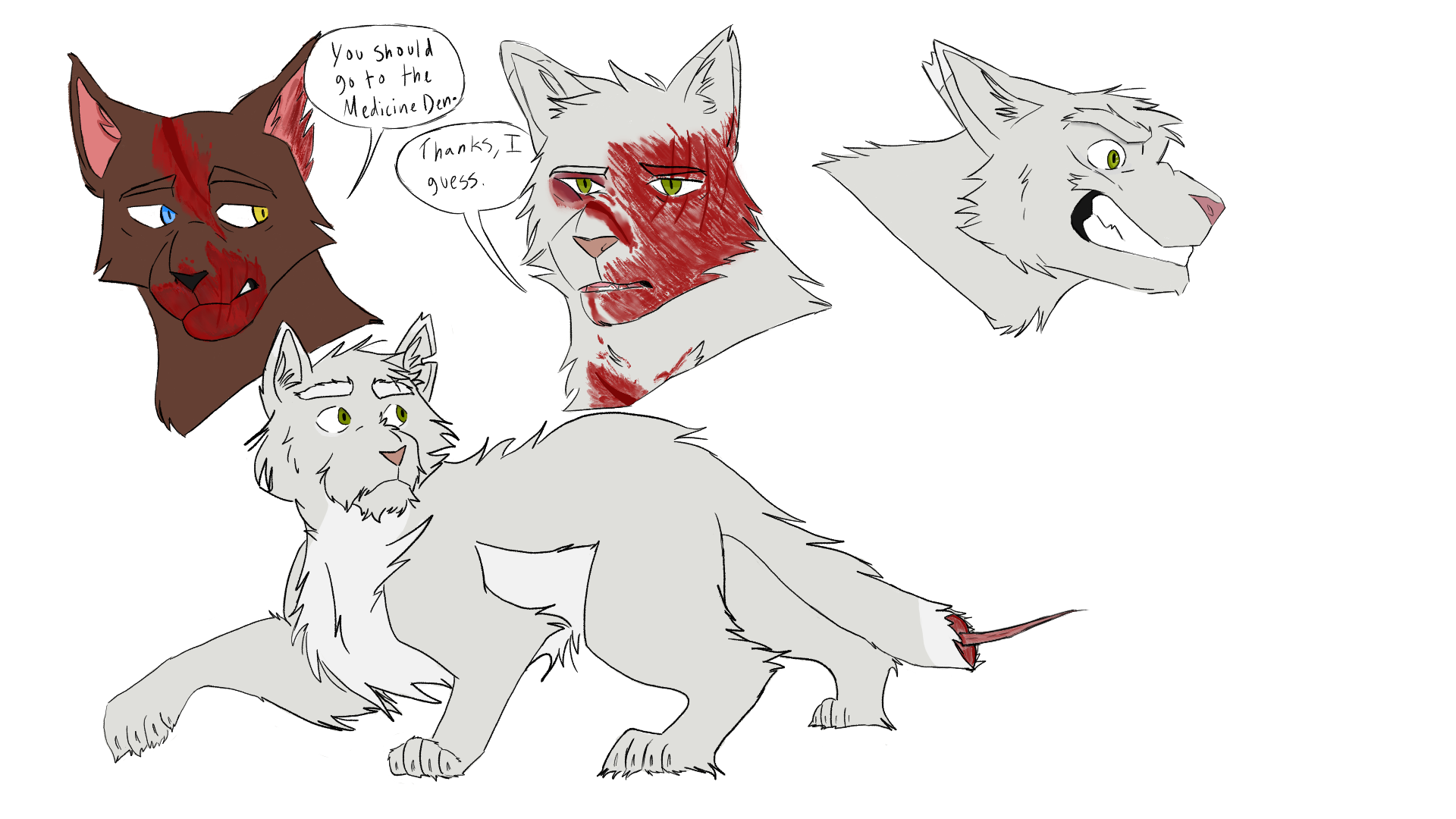 Frostfeather reference sheet by overhead-sword7 on DeviantArt