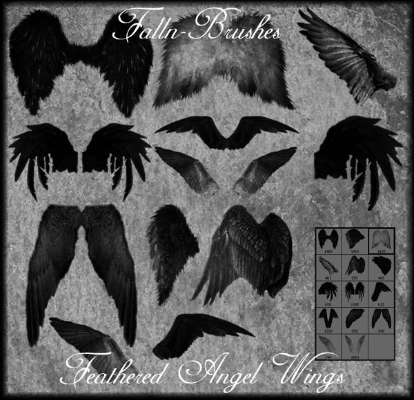 Feathered Angel Wings Brushes by FallnStock on DeviantArt
