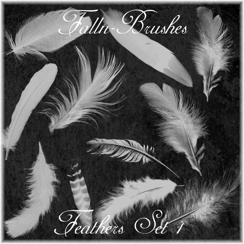 Feathers Brushes Set 1 By Falln Stock On Deviantart