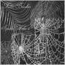 Spider Web Brushes Set 1