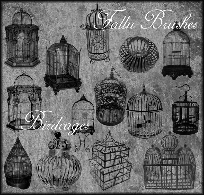 Birdcages Brushes Set 1