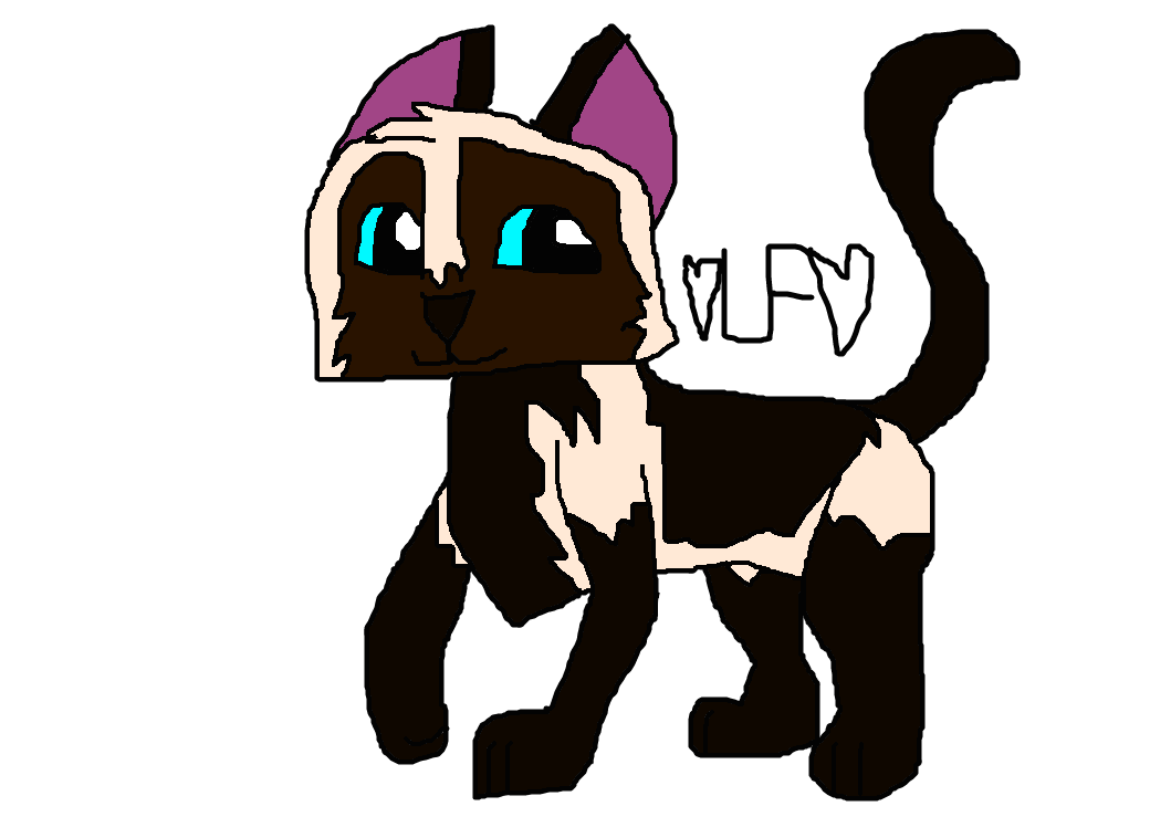 Animal Jam Fan Made Drawing of a CatSiamese Cat by LaceyPowerPuffGirl on DeviantArt