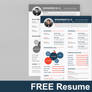 FREE Resume Template