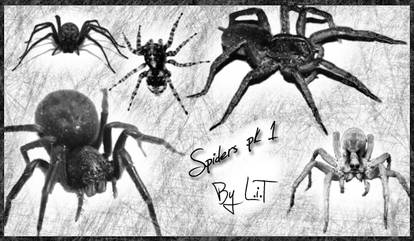 Spiders Pk 1