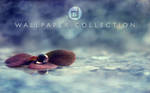 Tranquility Wallpaper by dandelgrosso