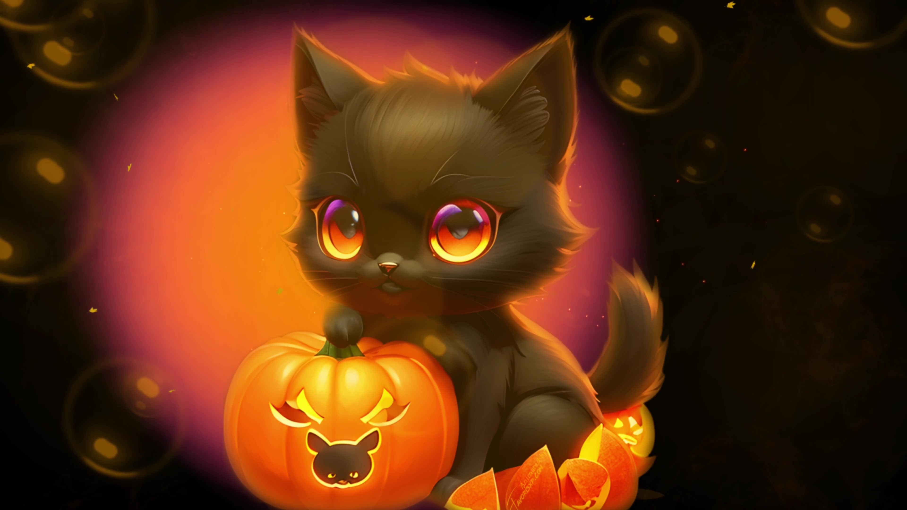 Cute Black Cat Halloween Animated Wallpaper By Favorisxp On DeviantArt Cute Black Cat Halloween Animated Wallpaper By Favorisxp On DeviantArt