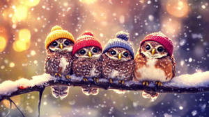Cute owl family Animated Wallpaper