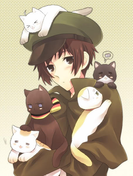 Neko Japan X Reader Neko Chan By Loveliveanime On Deviantart