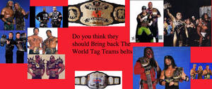 Bring back the world tag team.