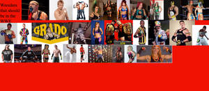 Wrestlers I think should be the WWE