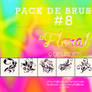 .+ Pack brushes N8