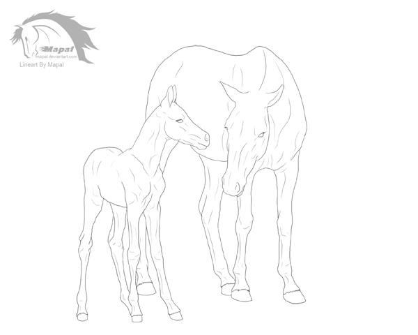 Mare and Foal Lineart HAIRLESS