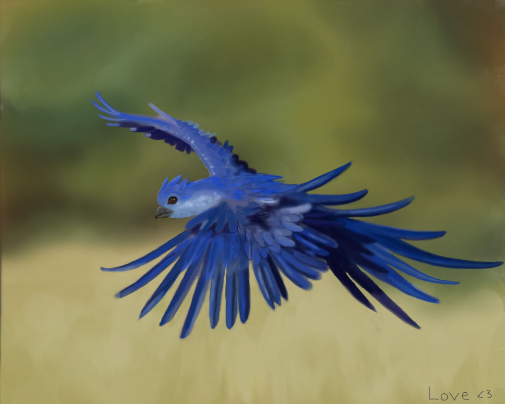 Into The Blue by fayra9945 on DeviantArt