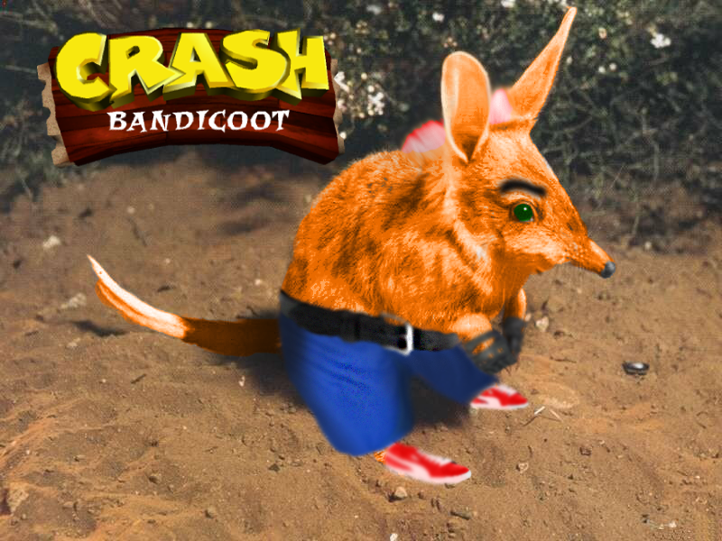 Crash Bandicoot (Real Life) by ChaliceOfSouls on DeviantArt