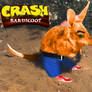 Crash Bandicoot (Real Life)