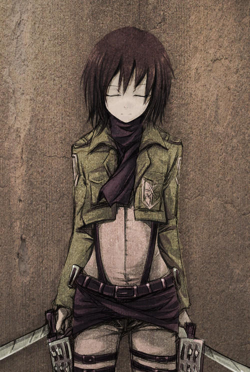 Heartbeat Mikasa x Reader [OneShot 1] by gfftfg on DeviantArt