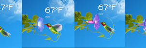 Animated Hummingbird Weather for Rainmeter