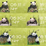 Pandas Time Date and Weather for Rainmeter