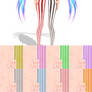 8+ TDA Colored Stripes Stockings Body Texture