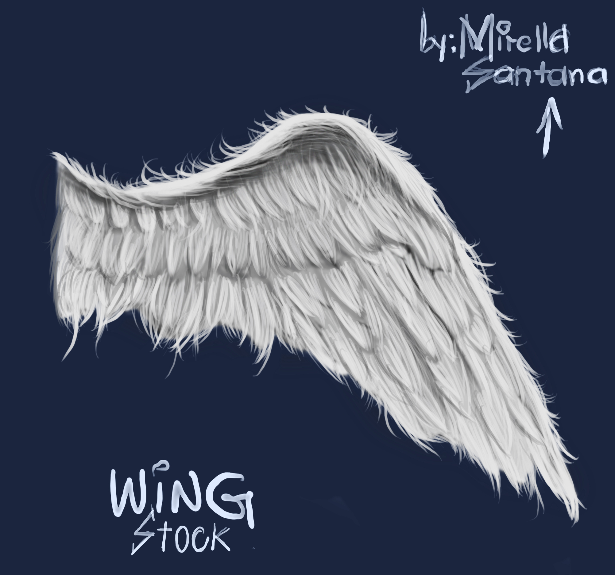 ANGEL WING - STOCK (PSD)