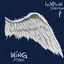 ANGEL WING - STOCK (PSD)