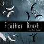 feather brush