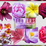 Natural Flowers Png