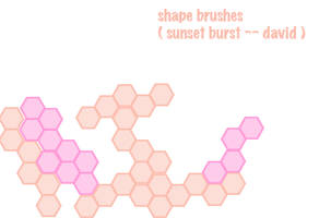 Shape Brushes