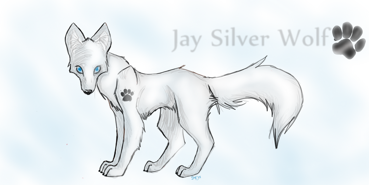 Jay Silver Wolf by Insanimals on DeviantArt