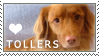Toller Love Stamp by cloudrat