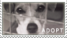 Adopt A Dog Stamp