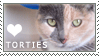 Tortishell Cat Love Stamp