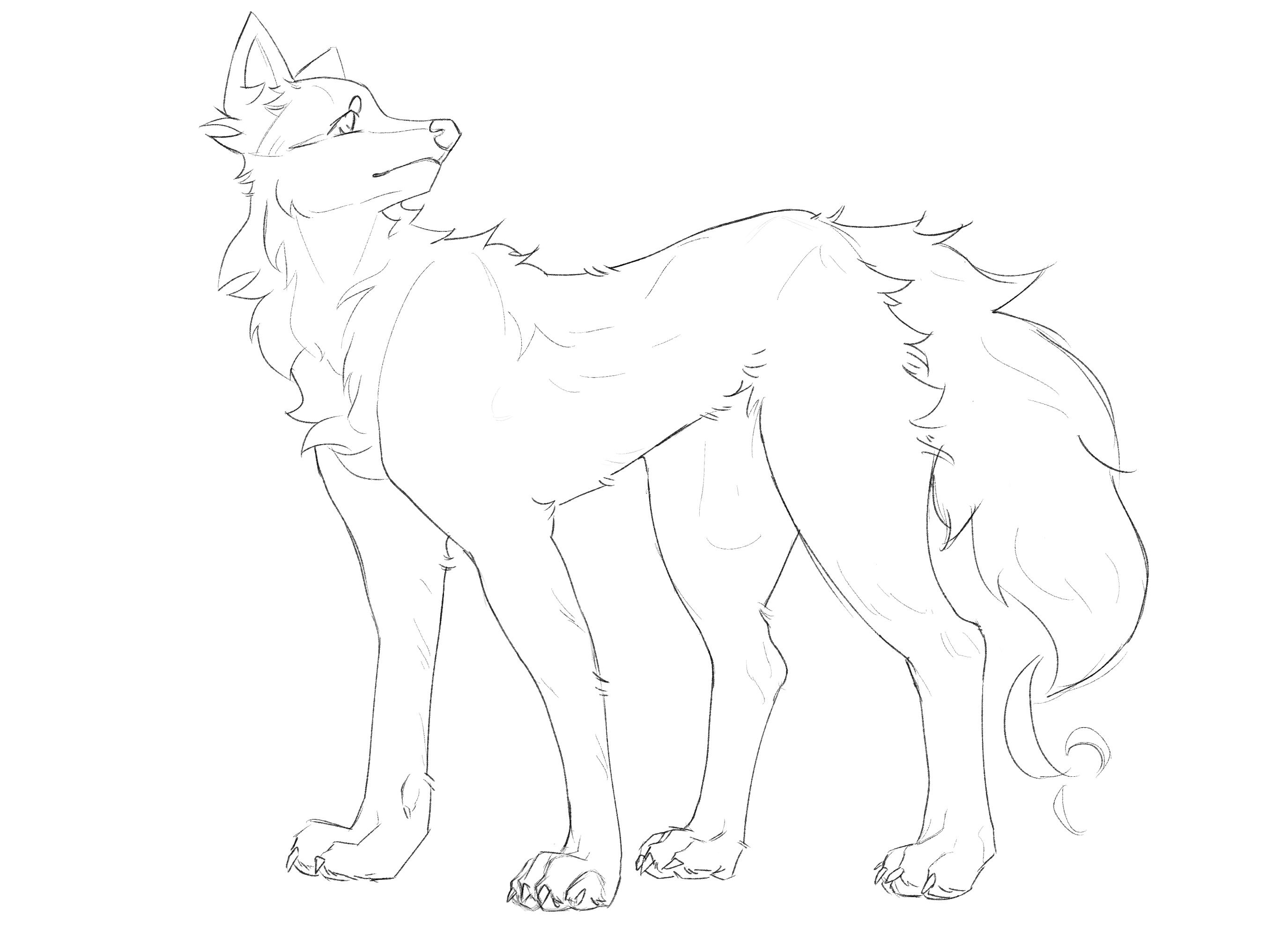 f2u canine lineart by mediumheat on DeviantArt