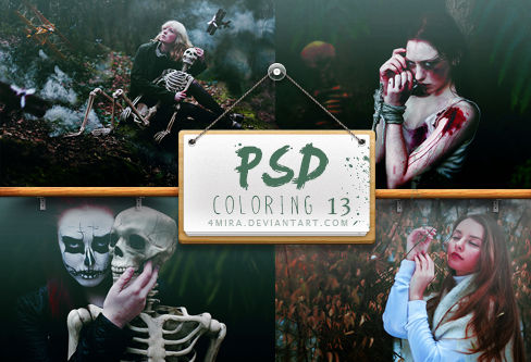 Psd #13