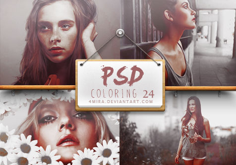 Psd #24